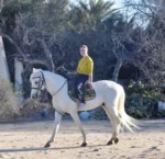 messi cheval dreams djerba