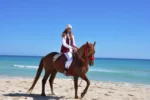 mezyani cheval djerba171m
