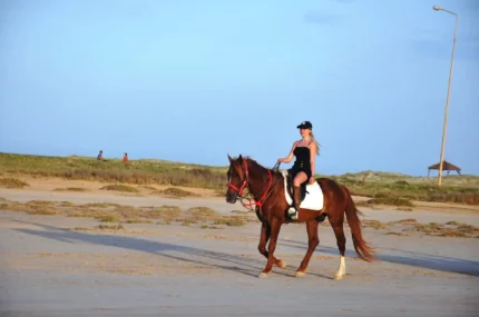 mezyani djerba dream