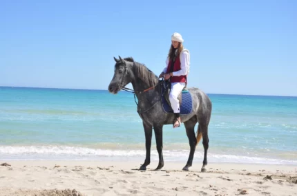 onix cheval grix 171m